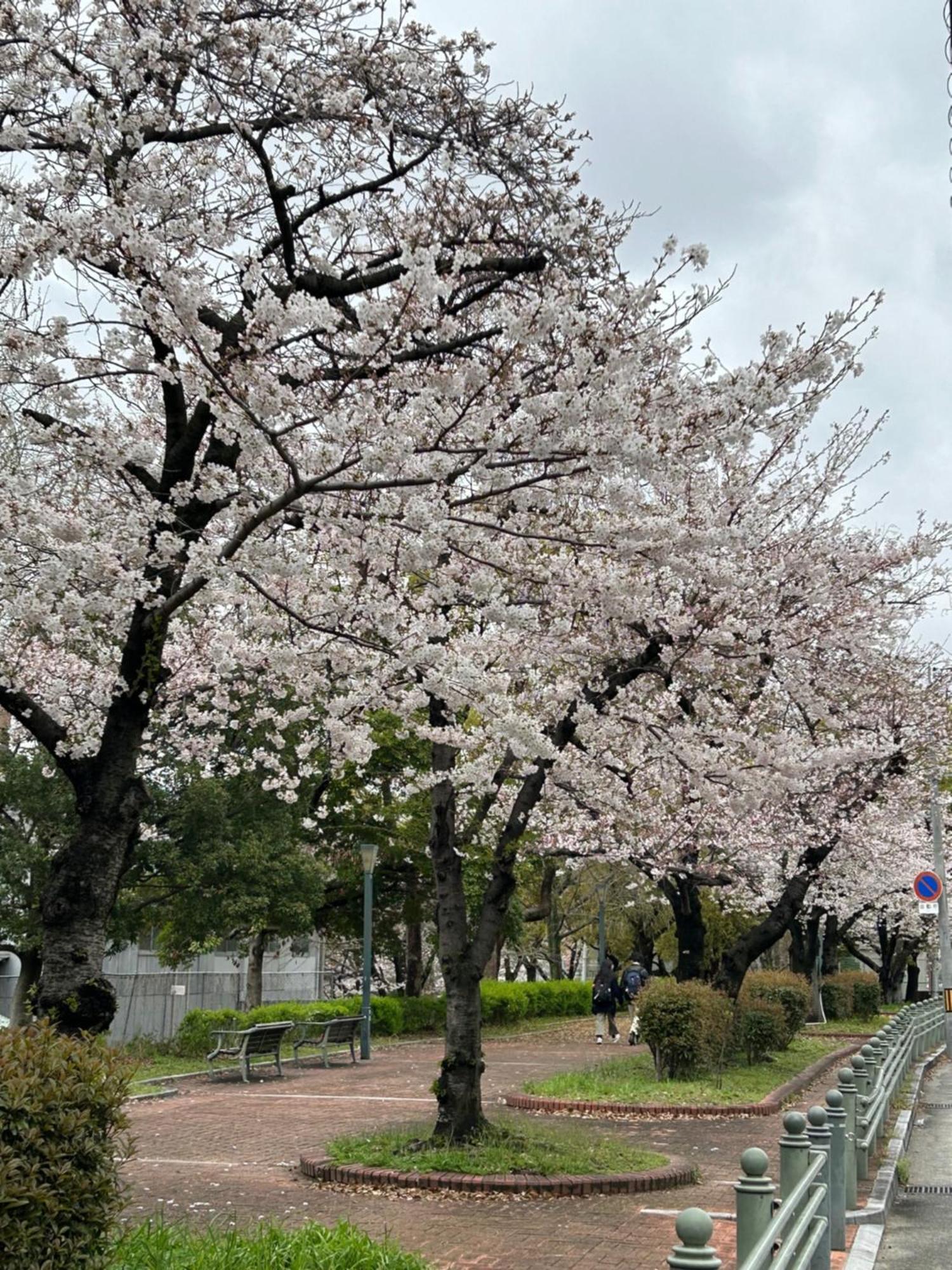 noah grande Hotel Osaka Bagian luar foto