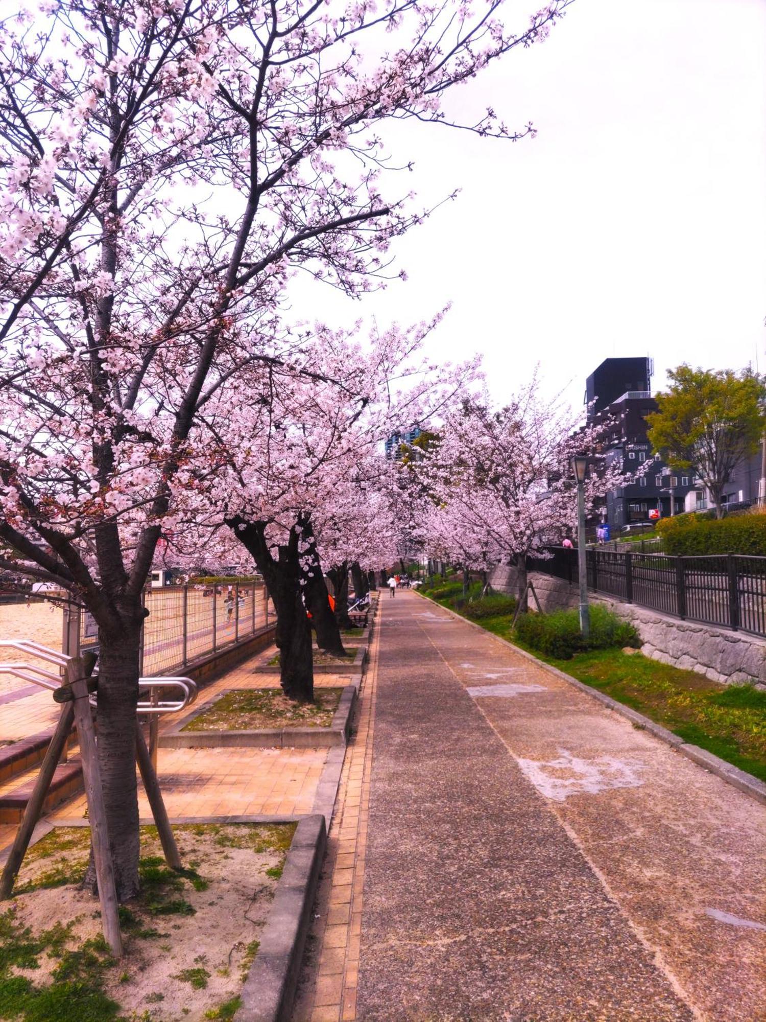 noah grande Hotel Osaka Bagian luar foto